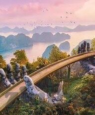 电玩森林舞会微信上下分-电玩森林舞会微信上下分，一场虚拟与现实的交织体验