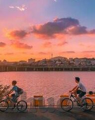 乐鱼体育视频下载官网-乐鱼体育视频下载官网的用法与体验全解析